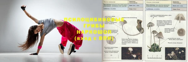 ALPHA PVP Верхний Тагил