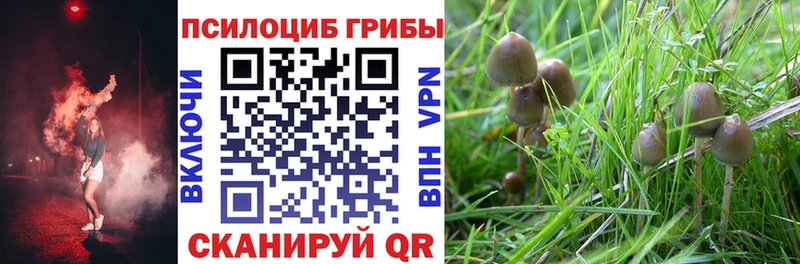 где можно купить   MEGA сайт  Псилоцибиновые грибы мицелий  Долгопрудный 